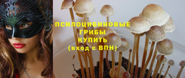 альфа пвп Гусев