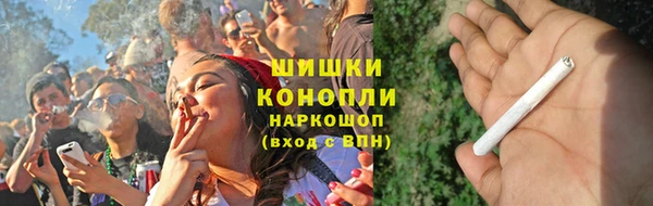 альфа пвп Гусев
